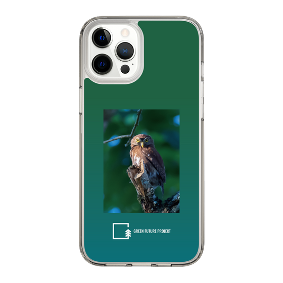 スリムプロテクションケース［ Green Future Project - Ferruginous Pygmy Owl ］