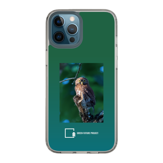 スリムプロテクションケース［ Green Future Project - Ferruginous Pygmy Owl ］