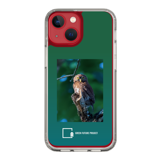 スリムプロテクションケース［ Green Future Project - Ferruginous Pygmy Owl ］