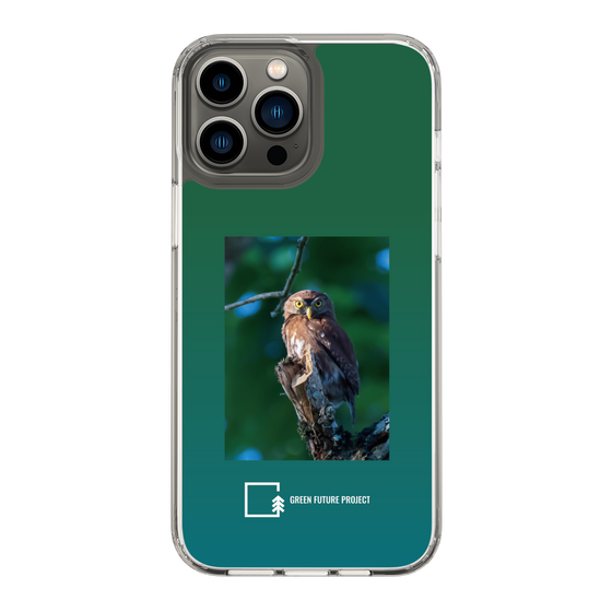 スリムプロテクションケース［ Green Future Project - Ferruginous Pygmy Owl ］