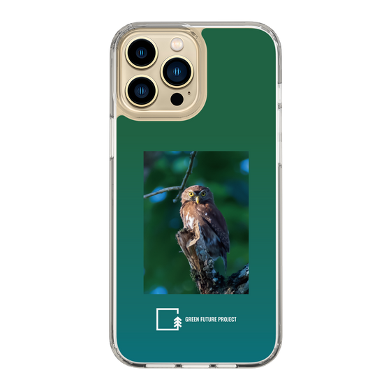 スリムプロテクションケース［ Green Future Project - Ferruginous Pygmy Owl ］