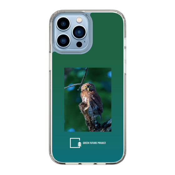 スリムプロテクションケース［ Green Future Project - Ferruginous Pygmy Owl ］