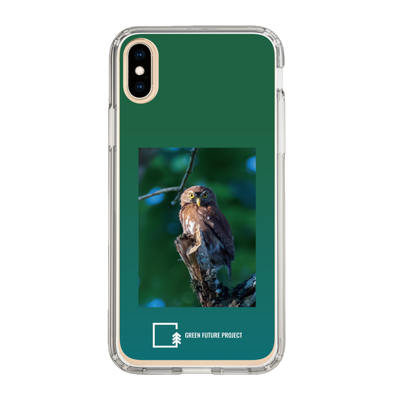 スリムプロテクションケース［ Green Future Project - Ferruginous Pygmy Owl ］