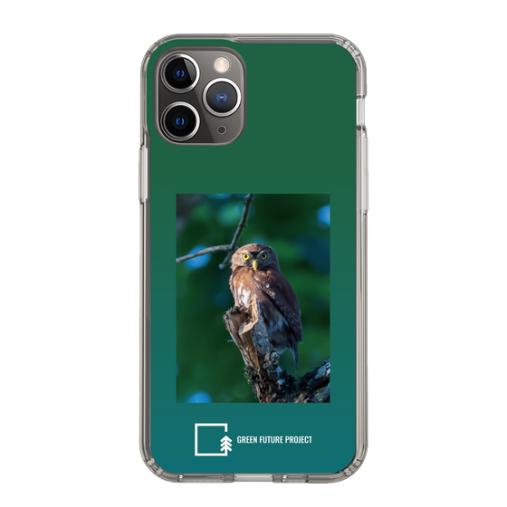 スリムプロテクションケース［ Green Future Project - Ferruginous Pygmy Owl ］