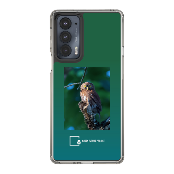スリムプロテクションケース［ Green Future Project - Ferruginous Pygmy Owl ］