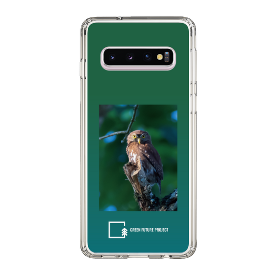 スリムプロテクションケース［ Green Future Project - Ferruginous Pygmy Owl ］