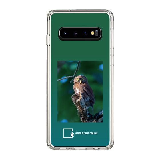 スリムプロテクションケース［ Green Future Project - Ferruginous Pygmy Owl ］