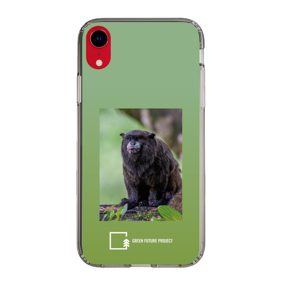 スリムプロテクションケース［ Green Future Project - Black-mantled Tamarin ］