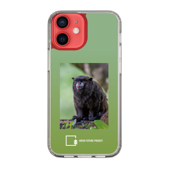 スリムプロテクションケース［ Green Future Project - Black-mantled Tamarin ］