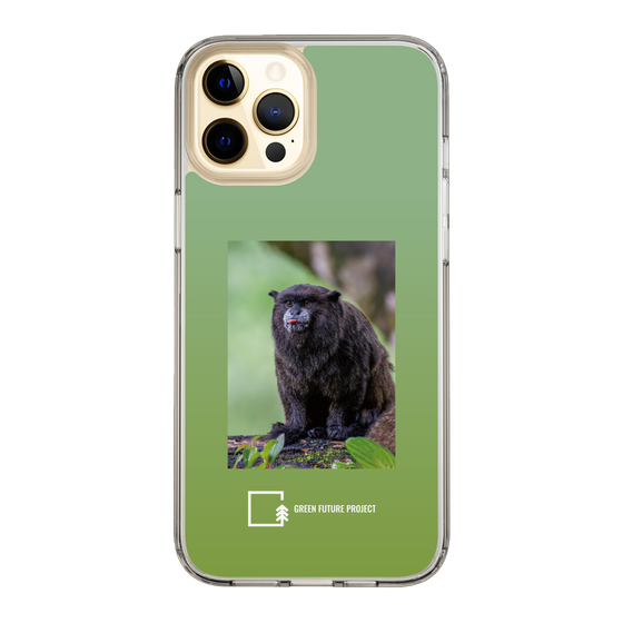 スリムプロテクションケース［ Green Future Project - Black-mantled Tamarin ］