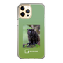 スリムプロテクションケース［ Green Future Project - Black-mantled Tamarin ］