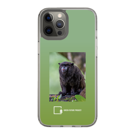 スリムプロテクションケース［ Green Future Project - Black-mantled Tamarin ］