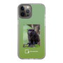 スリムプロテクションケース［ Green Future Project - Black-mantled Tamarin ］