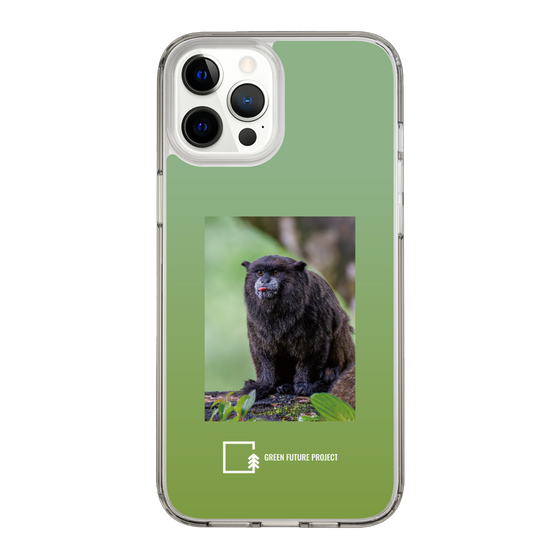 スリムプロテクションケース［ Green Future Project - Black-mantled Tamarin ］