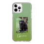 スリムプロテクションケース［ Green Future Project - Black-mantled Tamarin ］