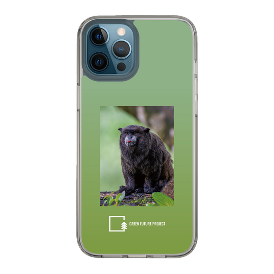 スリムプロテクションケース［ Green Future Project - Black-mantled Tamarin ］