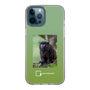 スリムプロテクションケース［ Green Future Project - Black-mantled Tamarin ］