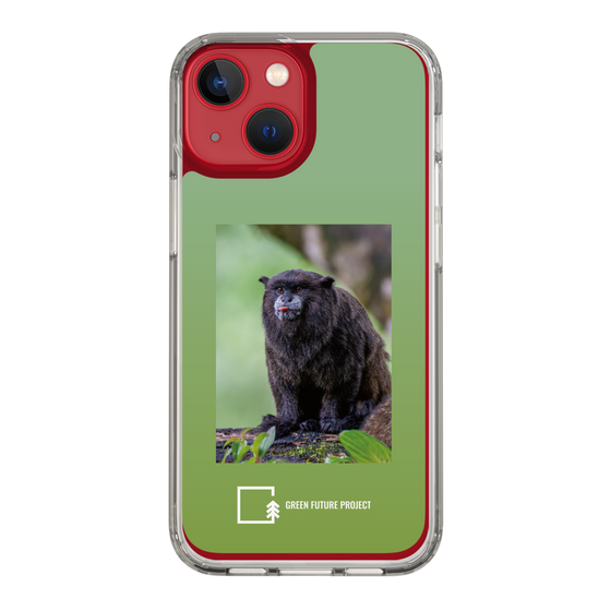 スリムプロテクションケース［ Green Future Project - Black-mantled Tamarin ］