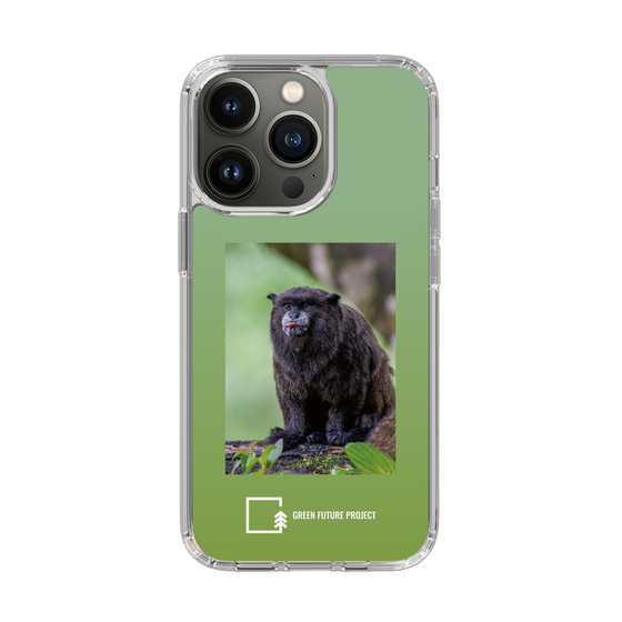 スリムプロテクションケース［ Green Future Project - Black-mantled Tamarin ］