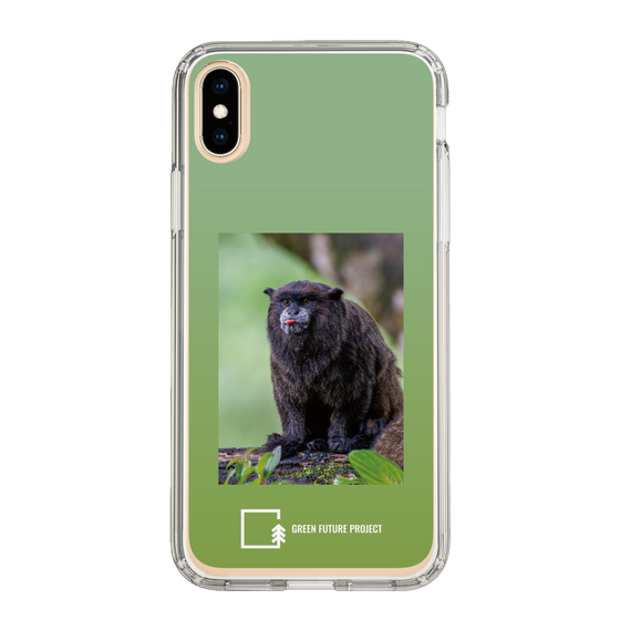 スリムプロテクションケース［ Green Future Project - Black-mantled Tamarin ］