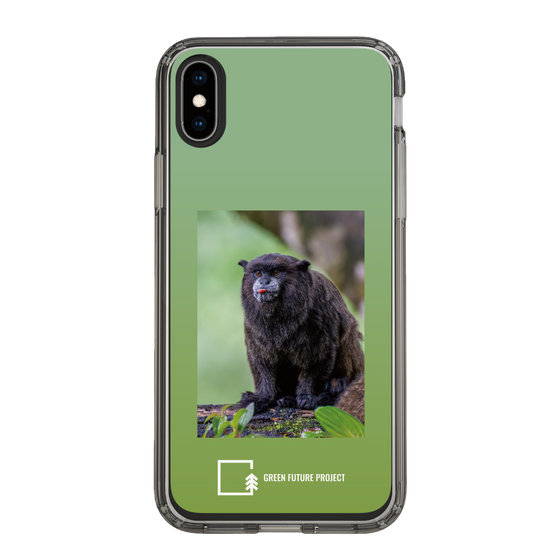 スリムプロテクションケース［ Green Future Project - Black-mantled Tamarin ］