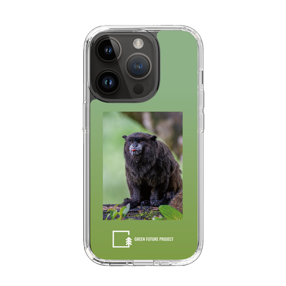 スリムプロテクションケース［ Green Future Project - Black-mantled Tamarin ］
