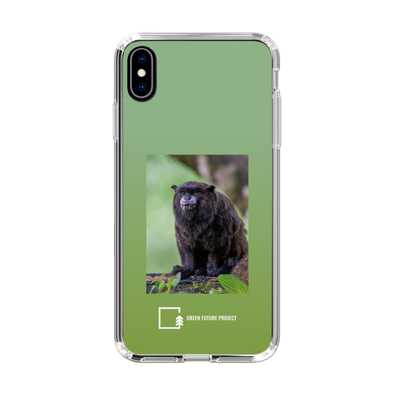 スリムプロテクションケース［ Green Future Project - Black-mantled Tamarin ］