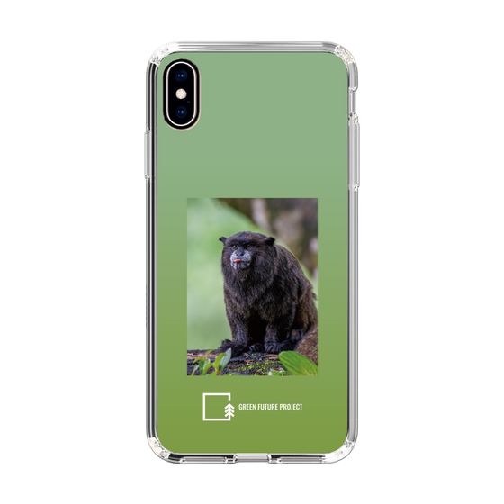 スリムプロテクションケース［ Green Future Project - Black-mantled Tamarin ］