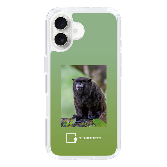 スリムプロテクションケース［ Green Future Project - Black-mantled Tamarin ］