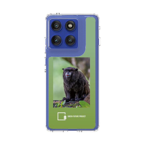 スリムプロテクションケース［ Green Future Project - Black-mantled Tamarin ］