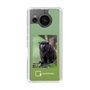 スリムプロテクションケース［ Green Future Project - Black-mantled Tamarin ］