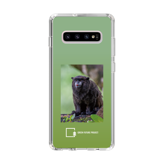 スリムプロテクションケース［ Green Future Project - Black-mantled Tamarin ］