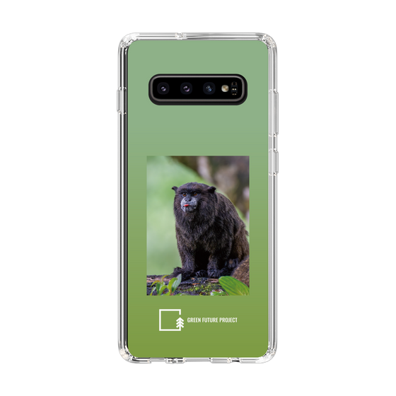 スリムプロテクションケース［ Green Future Project - Black-mantled Tamarin ］