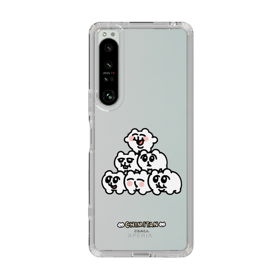スリムプロテクションケース［ ちみたん - ピラミッド ］