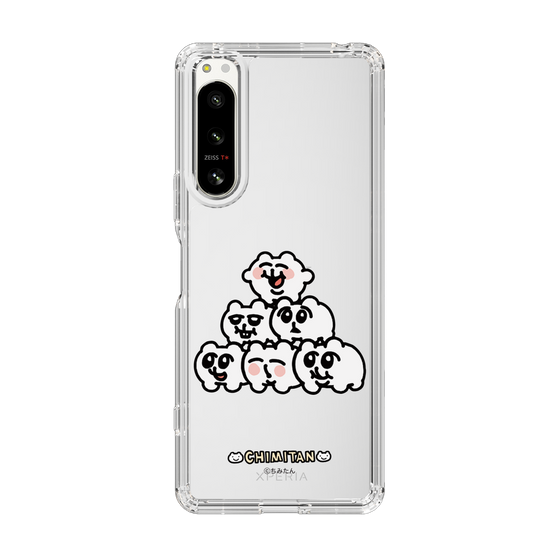 スリムプロテクションケース［ ちみたん - ピラミッド ］