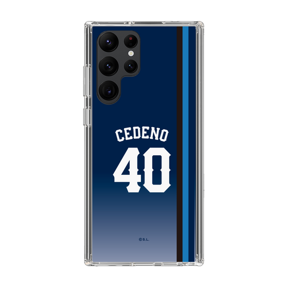スリムプロテクションケース［ 埼玉西武ライオンズ- #40 CEDENO - ビジター ］