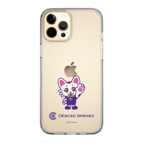 スリムプロテクションケース［ クリアソン新宿 - くりあにゃん - ハイタッチ ］