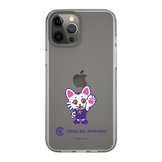 スリムプロテクションケース［ クリアソン新宿 - くりあにゃん - ハイタッチ ］