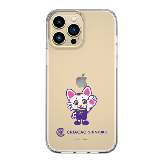 スリムプロテクションケース［ クリアソン新宿 - くりあにゃん - ハイタッチ ］
