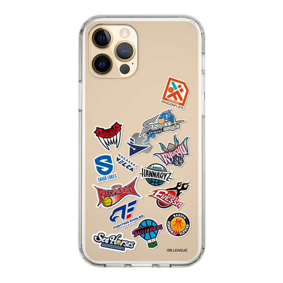 スリムプロテクションケース［ B.LEAGUE - B1 - 西地区オールロゴ ］