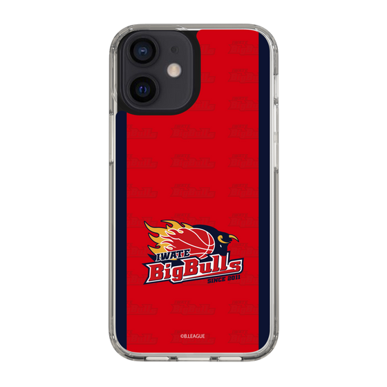 スリムプロテクションケース［ B.LEAGUE - 岩手ビッグブルズ - ロゴデザイン ］