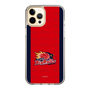 スリムプロテクションケース［ B.LEAGUE - 岩手ビッグブルズ - ロゴデザイン ］
