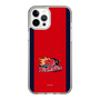 スリムプロテクションケース［ B.LEAGUE - 岩手ビッグブルズ - ロゴデザイン ］