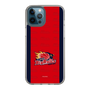 スリムプロテクションケース［ B.LEAGUE - 岩手ビッグブルズ - ロゴデザイン ］