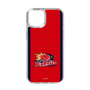 スリムプロテクションケース［ B.LEAGUE - 岩手ビッグブルズ - ロゴデザイン ］