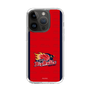スリムプロテクションケース［ B.LEAGUE - 岩手ビッグブルズ - ロゴデザイン ］