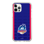 スリムプロテクションケース［ B.LEAGUE - 青森ワッツ - ロゴデザイン ］