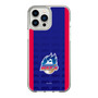 スリムプロテクションケース［ B.LEAGUE - 青森ワッツ - ロゴデザイン ］