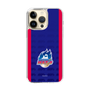 スリムプロテクションケース［ B.LEAGUE - 青森ワッツ - ロゴデザイン ］