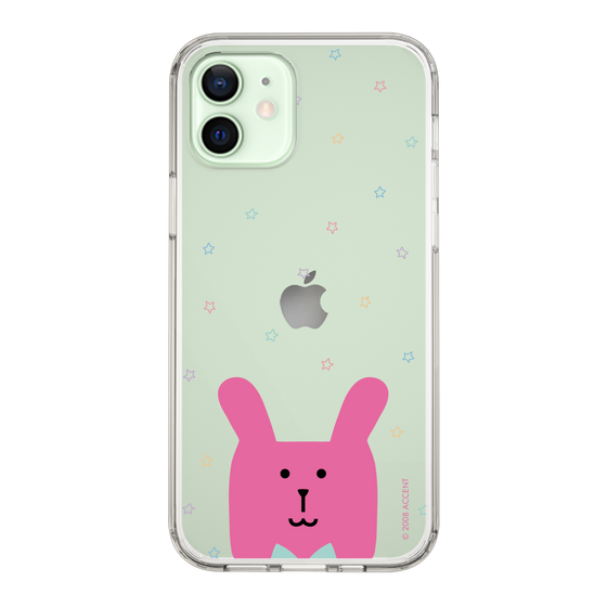 スリムプロテクションケース［ CRAFTHOLIC - Face - RAB ］